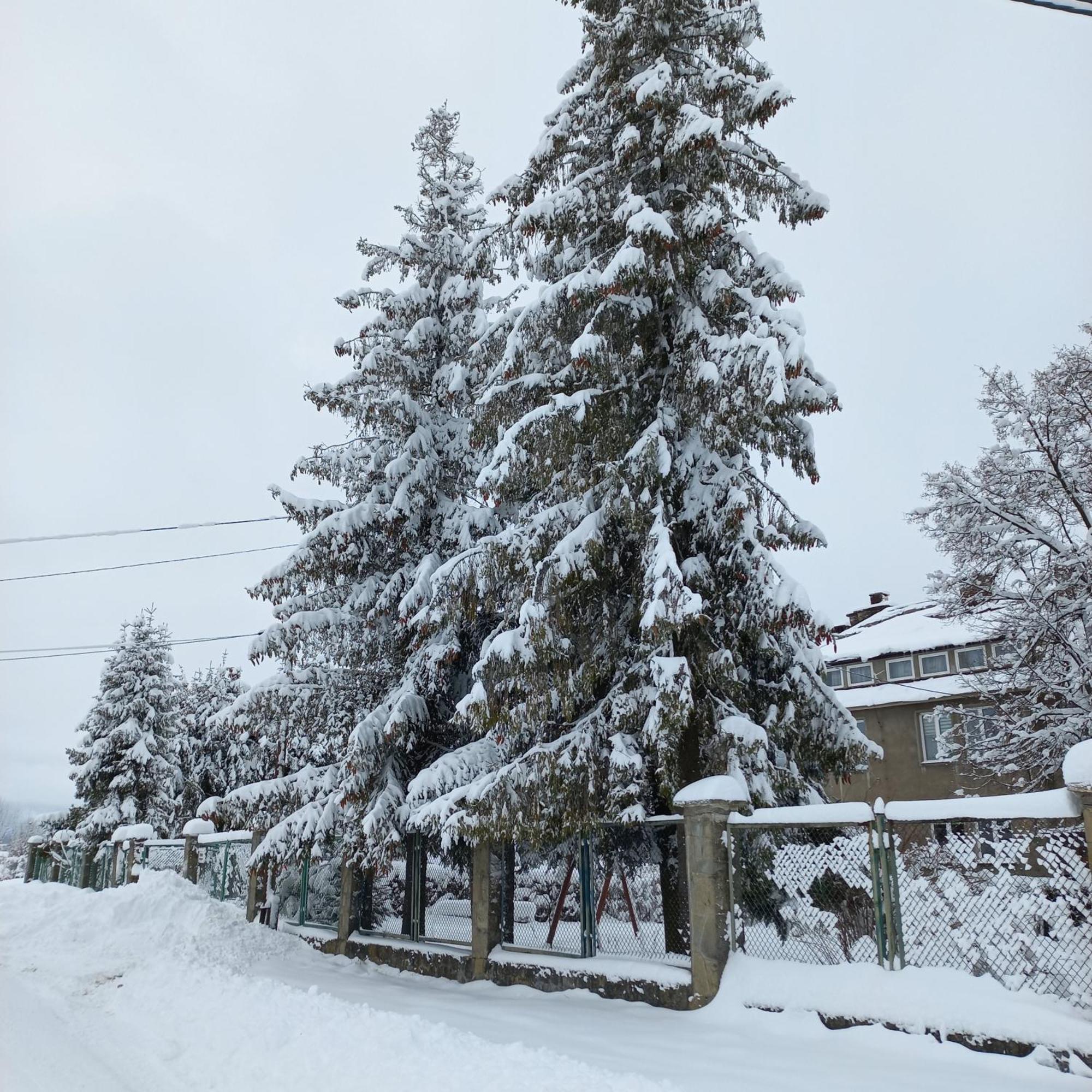 Apartamenty Na Szlaku Czarny Dunajec Buitenkant foto